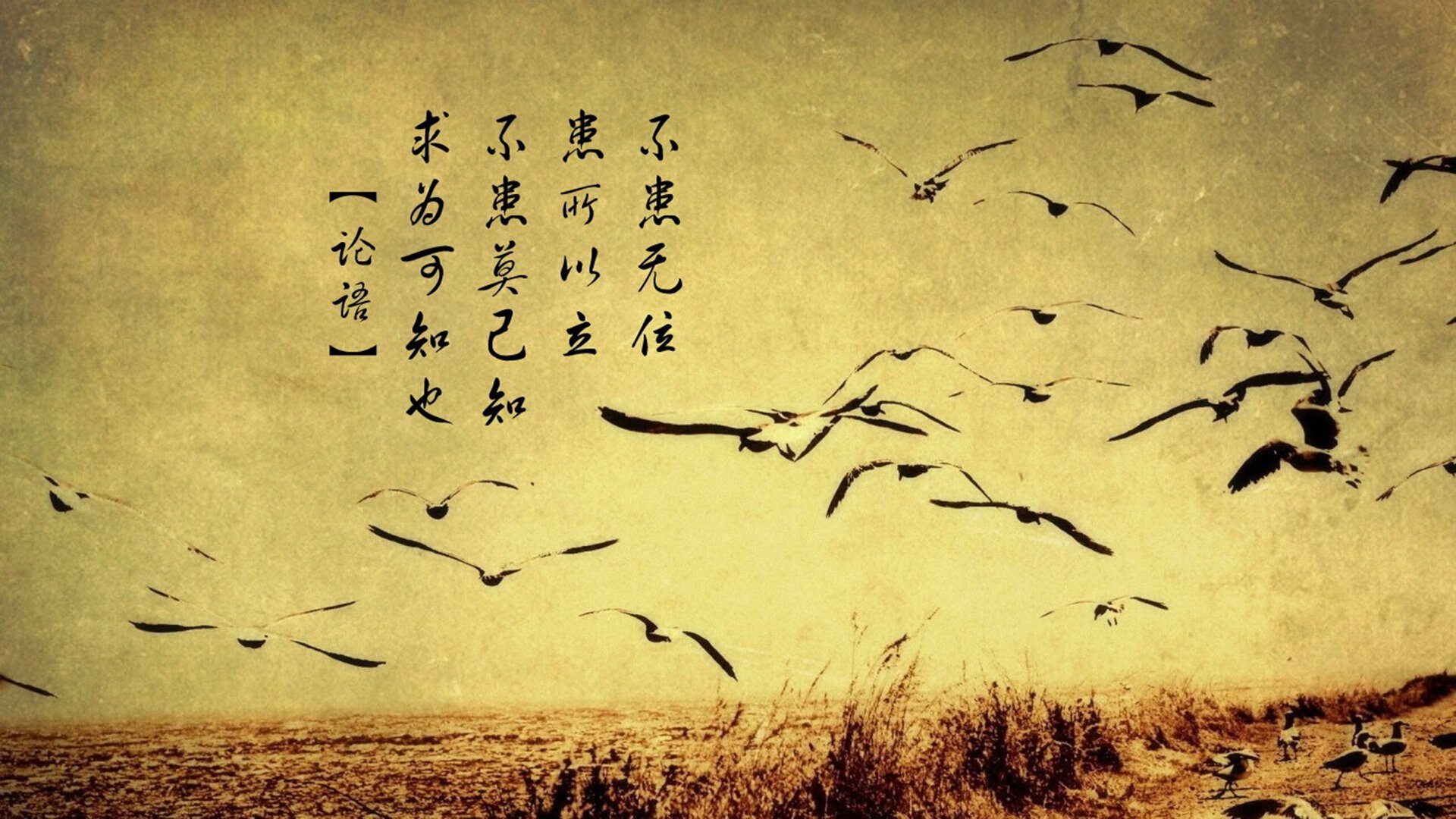 “西甲焦点:豪门对决火花四溅,胜者即将锁定榜首”,豪门联赛