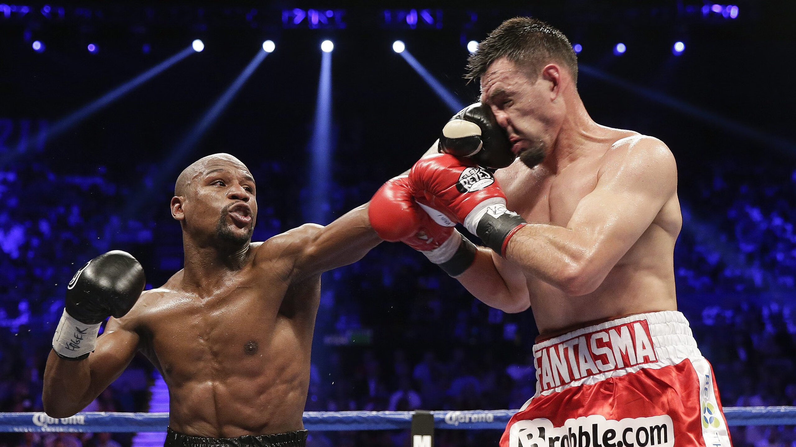 大卫·波波维奇稳步提升成绩赢得喝彩，大卫 波波维奇