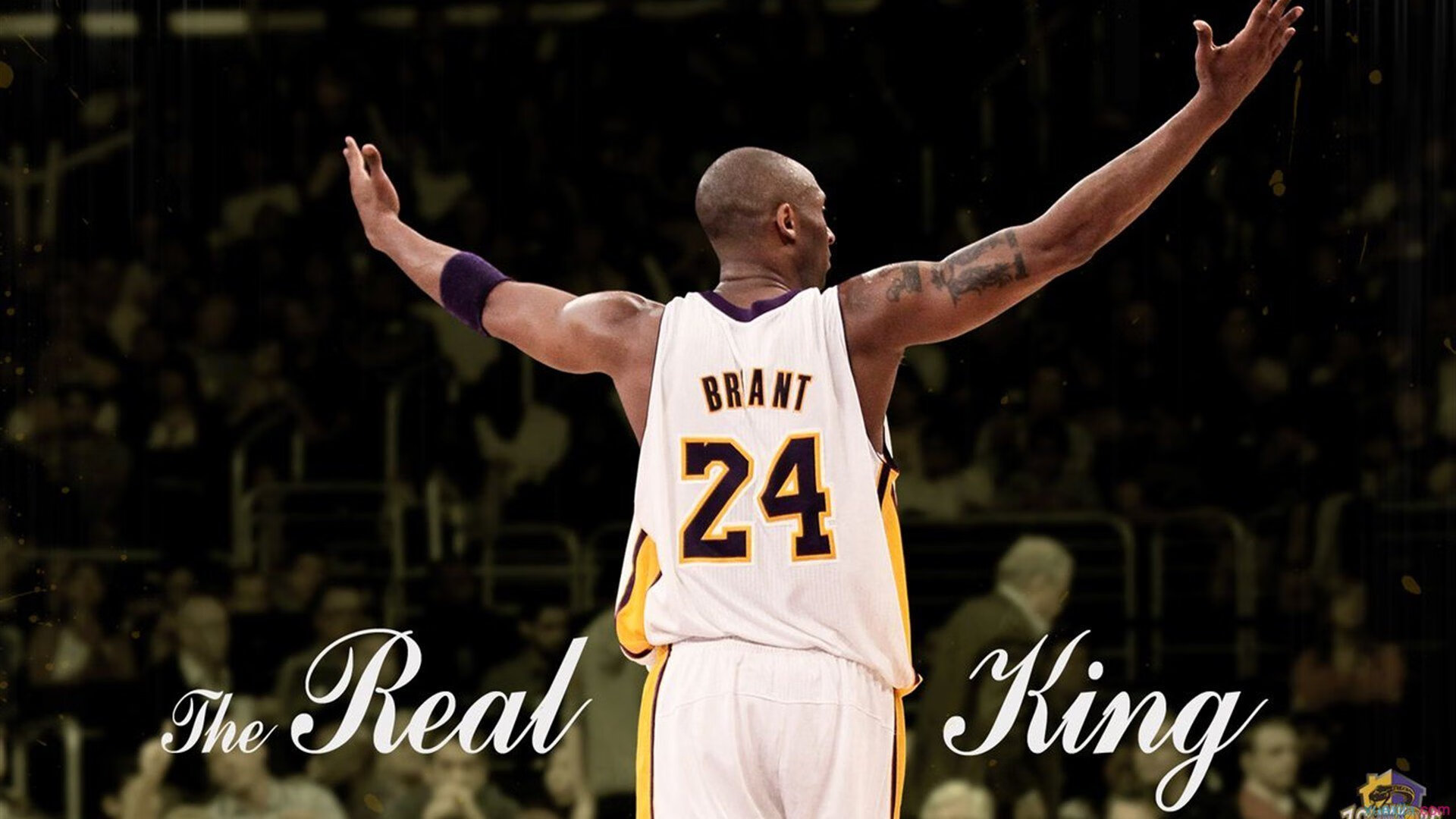 _库里三分神手，再现王牌风采_，库里三分讲解