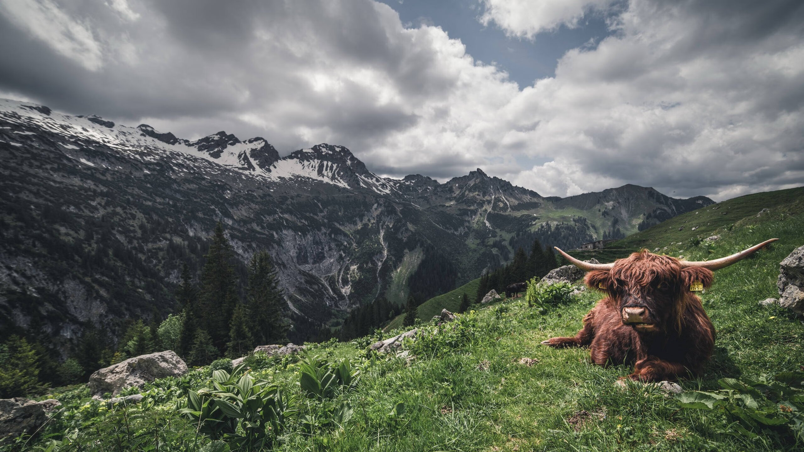 _开幕式盛况：多彩舞台点亮运动激情_，精彩开幕式
