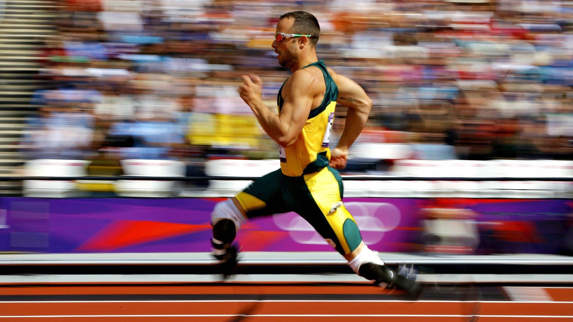 莫莉·奥卡拉汉女子100米自由泳决赛精彩亮相，里约奥运会女子100米自由泳冠军